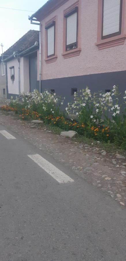 Casa Maior Villa Sacel  Eksteriør bilde