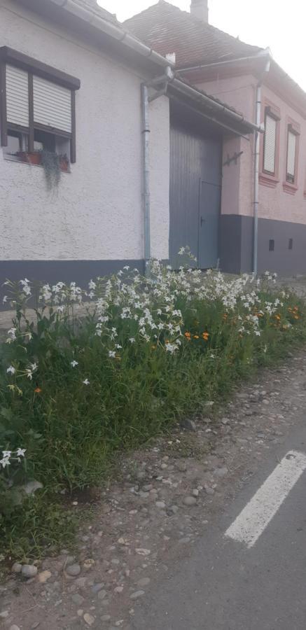 Casa Maior Villa Sacel  Eksteriør bilde